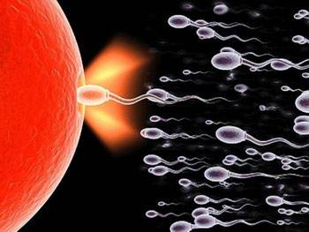 如何選擇最佳受孕時(shí)間？