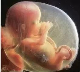 再也不用往返跑省城了，感謝醫(yī)生助我懷上了寶寶~~