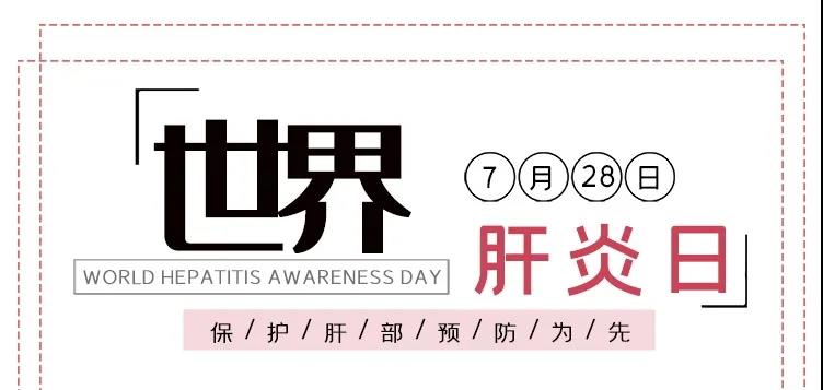 世界肝炎日——積極預(yù)防，主動檢測，規(guī)范治療，全面遏制肝炎危害！