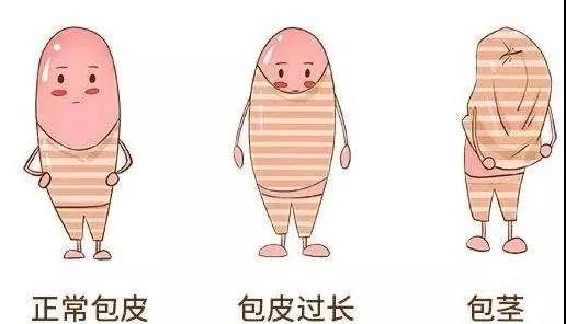 【保山安利醫(yī)院】家長速看！暑期包皮手術(shù)預約正當時！