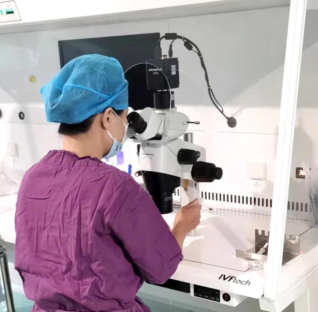 【喜訊】保山首例無精子癥通過試管嬰兒技術(shù)助孕成功！